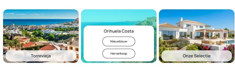 Una web inmobiliaria hecha para vender mejor en el mercado neerlandés: el caso de HOUSE IN SPAIN INVEST