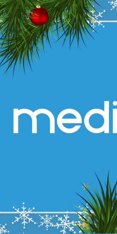 Mediaelx wishes its customers a Merry Christmas and a Happy New Year